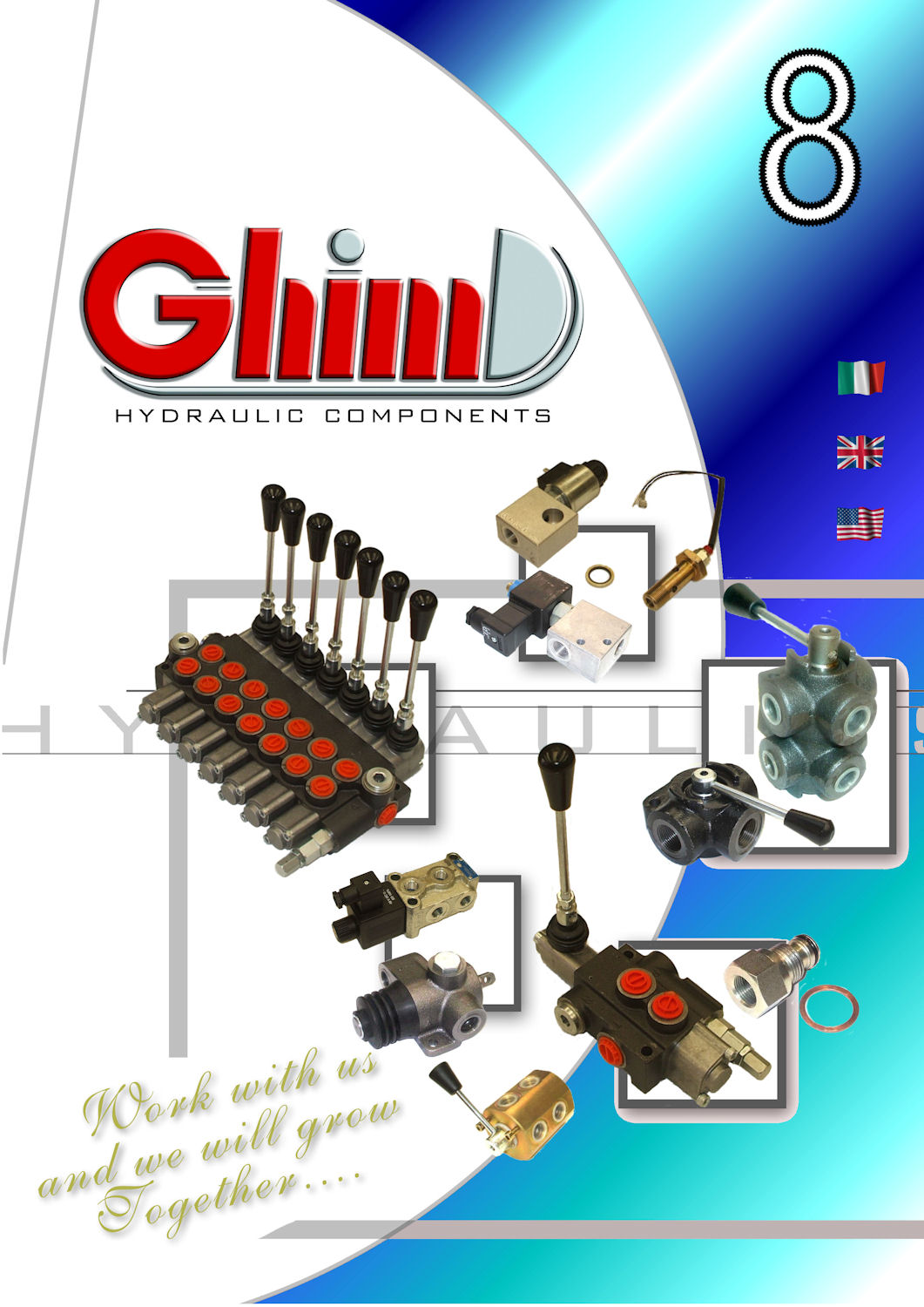 Valves and Hydraulic Control Valves - GHIM Hydraulics